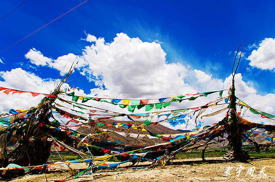A scenic view of Shannan Zangwang Mu