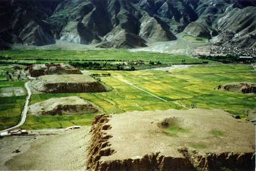 A scenic view of Shannan Zangwang Mu