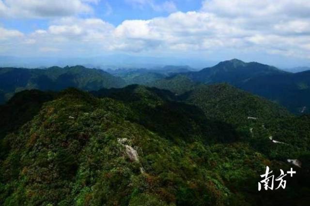 A scenic view of Shaoguan Ruyuan Xijing Gudao