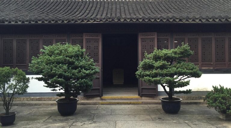 A Journey Through Time: The Allure of Shaoxing Caiyuanpei Guju
