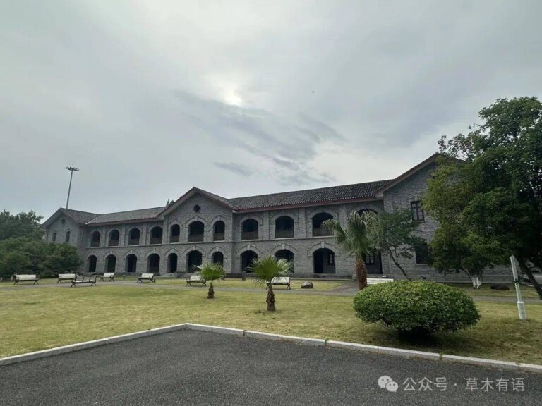 A Traveler’s Guide to Shaoxing Chunhui Zhongxue Jiuzhi: Experience Authentic Zhejiang