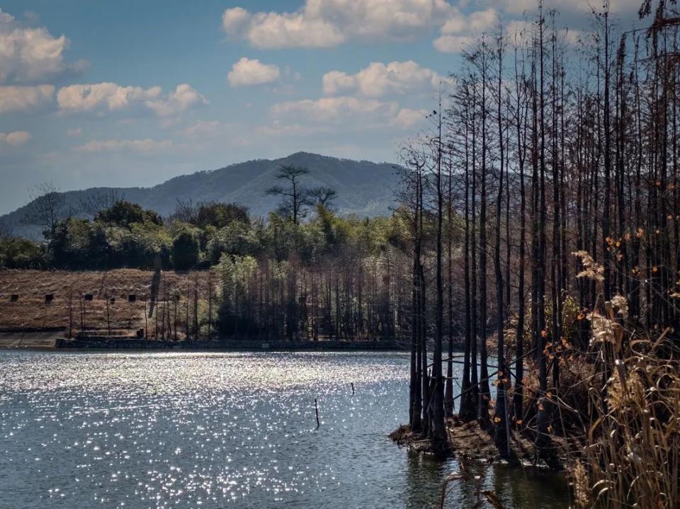 A scenic view of Shaoxing Fenghuangshan Yaozhiqun