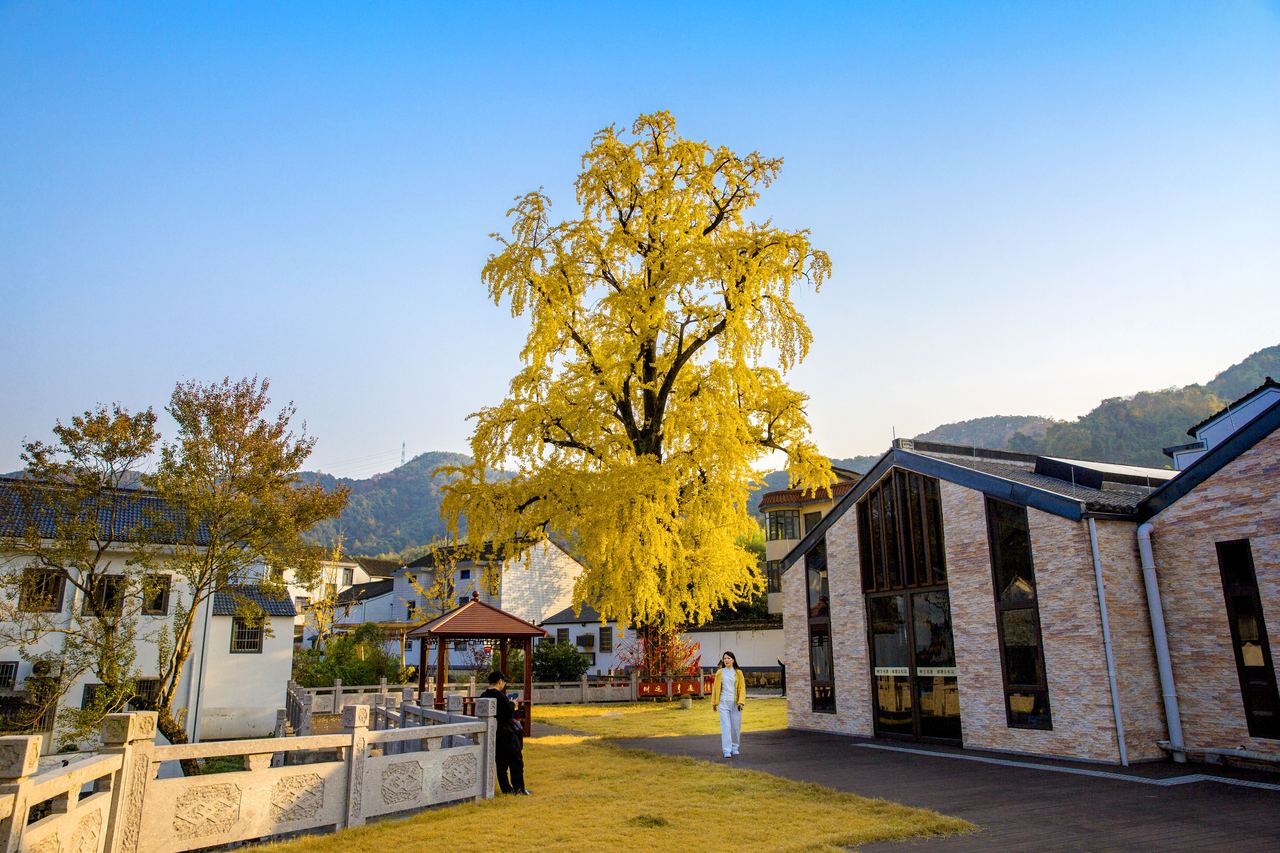A scenic view of Shaoxing Yueguo Guizu Muqun