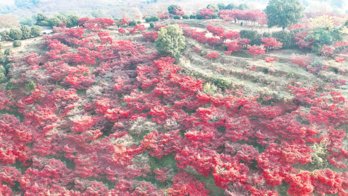 A scenic view of Shaoyang Beita
