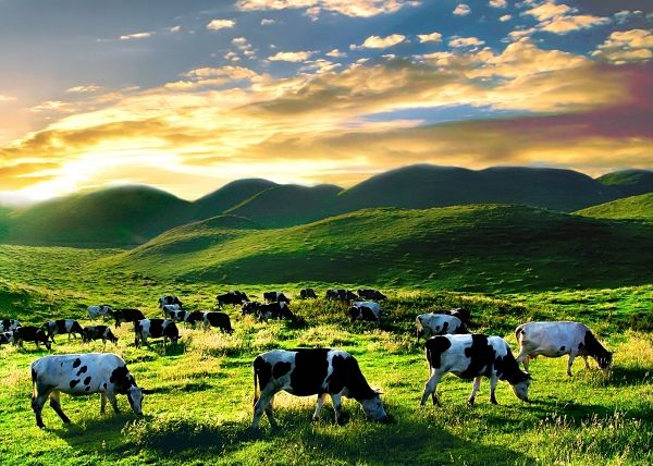 A scenic view of Shaoyang Dankou Miaowen Shikequn