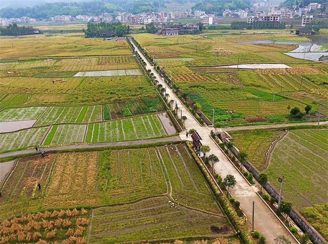 A scenic view of Shaoyang Weiyuan Guju