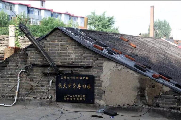 A Food Lover’s Paradise: Exploring Shenyang Beidaying Yingfang Jiuzhi