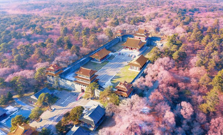 A scenic view of Shenyang Fuling