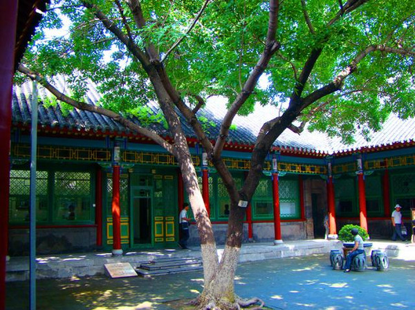 A scenic view of Shenyang Zhangxueliang Jiuju