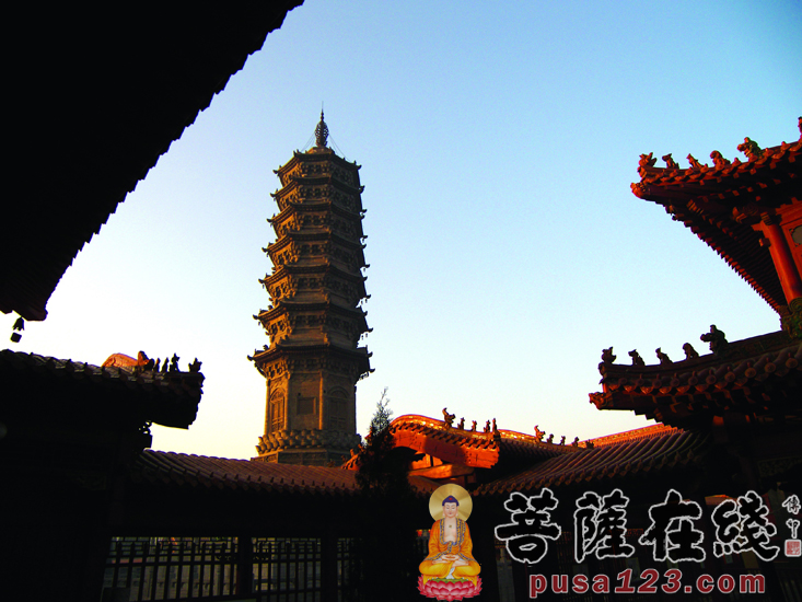 A scenic view of Shijiazhuang Bailin Temple Pagoda