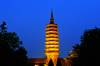 A scenic view of Shijiazhuang Linji Temple Chengling Pagoda
