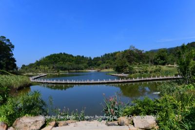 A scenic view of Shijiazhuang Wuji Zhen Family Tombs