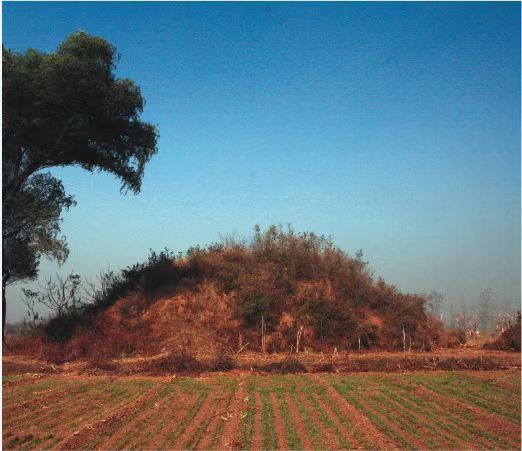 A scenic view of Shijiazhuang Zanhuang Li Family Tombs