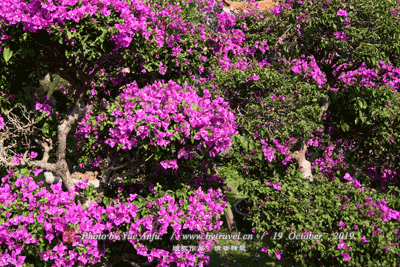 A scenic view of Shuangyashan Yanwodao Chengzhi