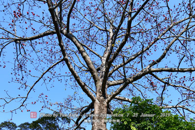 A scenic view of Shuangyashan Yanwodao Chengzhi