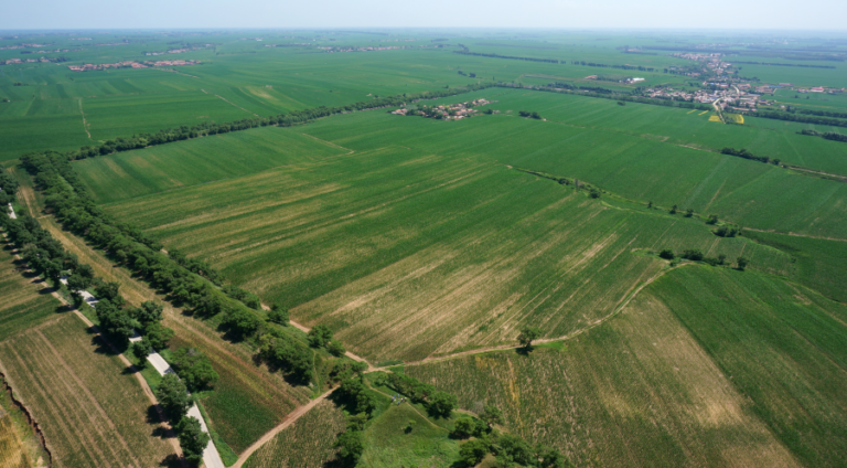 Siping Pianliancheng Chengzhi: Your Ultimate Guide to Local Delights