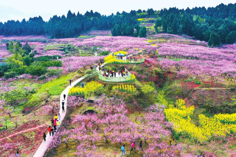 A scenic view of Suining Zhuotongjing