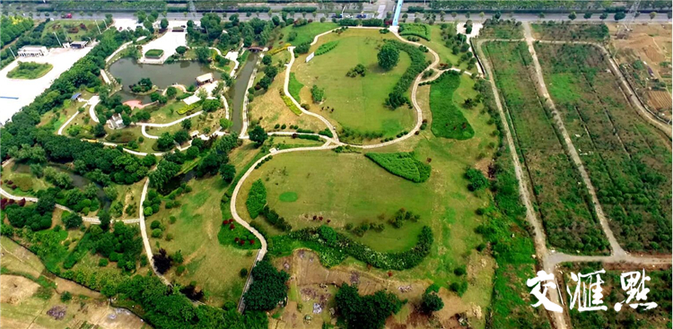 A scenic view of Suqian Sanzhuang Muqun
