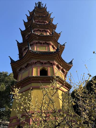 A scenic view of Suzhou Luohanyuan Shuangta Ji Zhengdian Yizhi