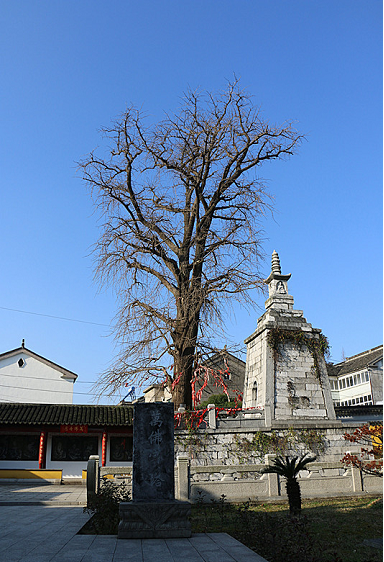 A scenic view of Suzhou Wanfo Shita