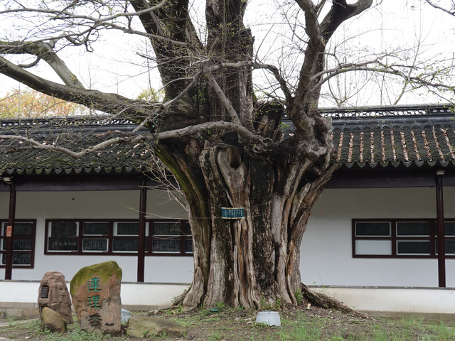 A scenic view of Suzhou Wenmiao Ji Shike