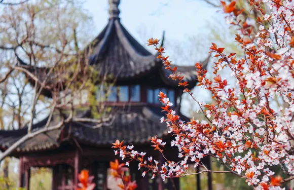 A scenic view of Suzhou Xuanyuangong Zhengdian