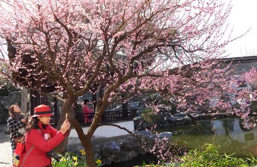 A scenic view of Suzhou Yipu