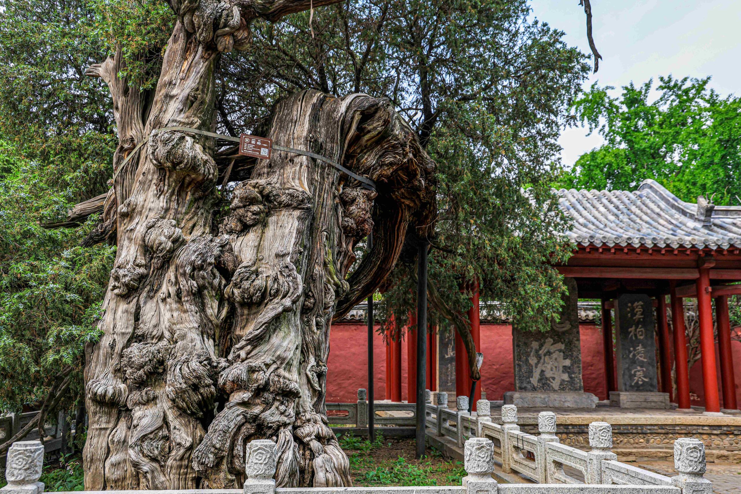 A scenic view of Taian Daimiao