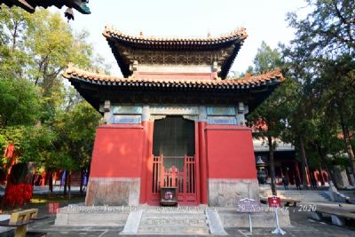A scenic view of Taian Ningyang Yanzi Miao He Yanlin