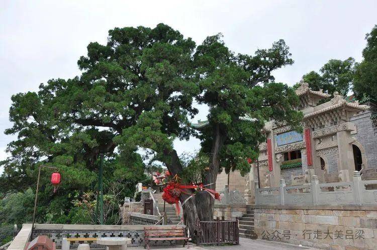 A scenic view of Taiyuan Tongzi Temple Ruins