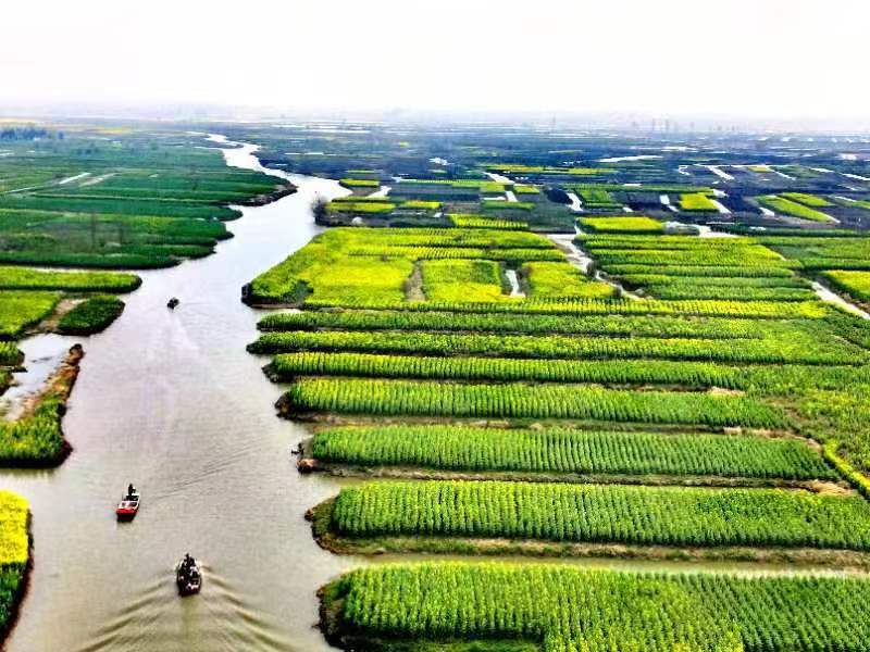 A scenic view of Taizhou Jiangzhuang Yizhi