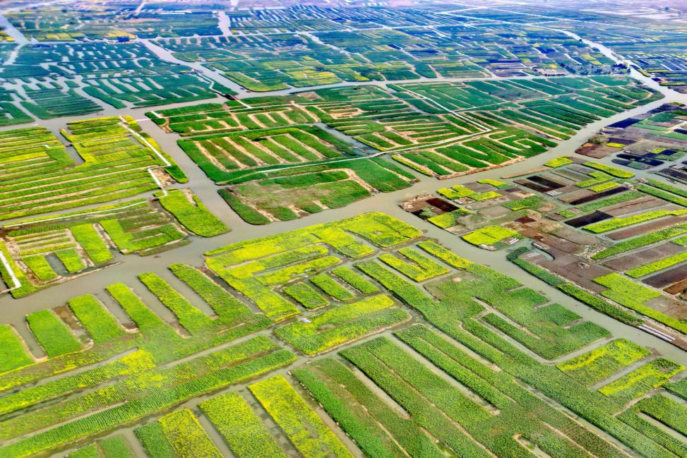 A scenic view of Taizhou Jiangzhuang Yizhi
