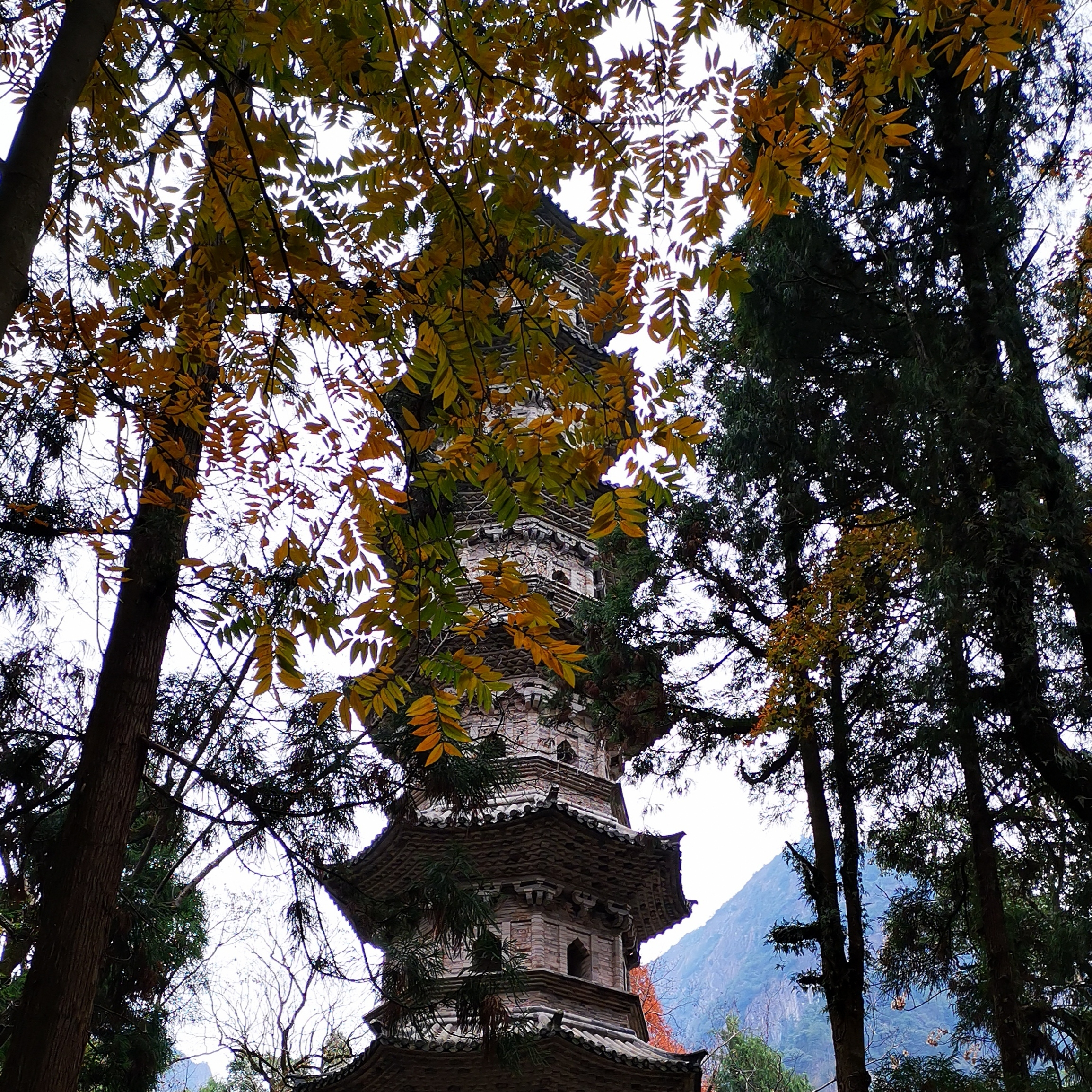 A scenic view of Taizhou Ruilong Ganying Ta