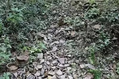 A scenic view of Taizhou Shabu Yaozhi