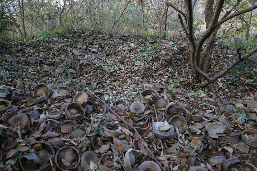 A scenic view of Taizhou Shabu Yaozhi
