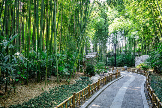 A scenic view of Taizhou Tianmushan Yizhi