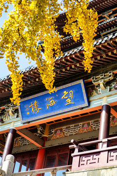 A scenic view of Taizhou Tianmushan Yizhi