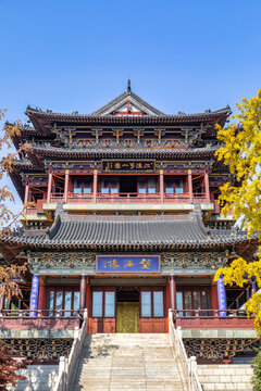 A scenic view of Taizhou Tianmushan Yizhi