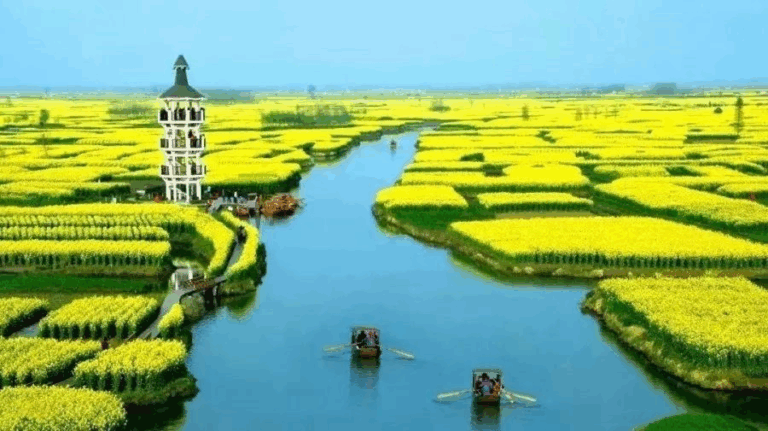 A Traveler’s Guide to Taizhou Xinghua Duotian: Explore Nature and Tradition