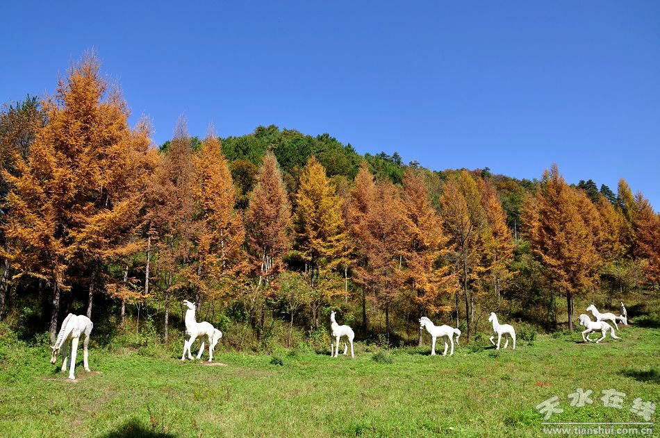 A scenic view of Tianshui Fangmatan Muqun