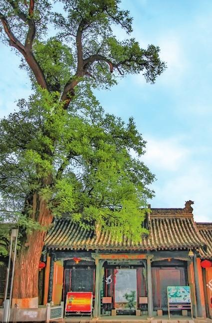 A scenic view of Tianshui Hushi Guminju Jianzhu