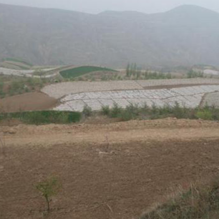 A scenic view of Tianshui Langjiaowa Yizhi