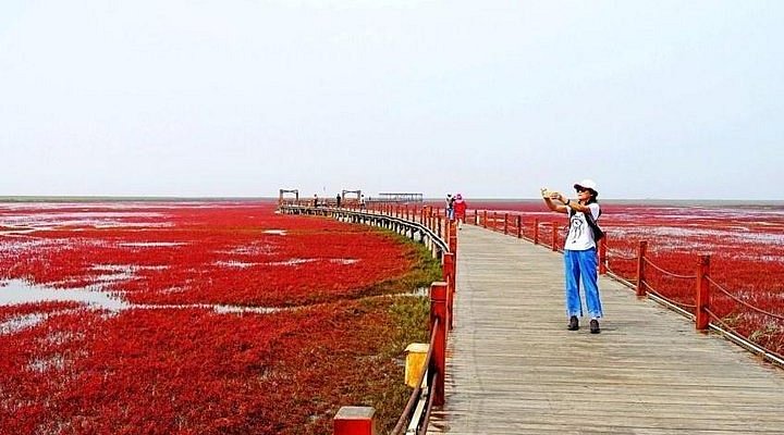 A scenic view of Tieling Yingang Shuyuan