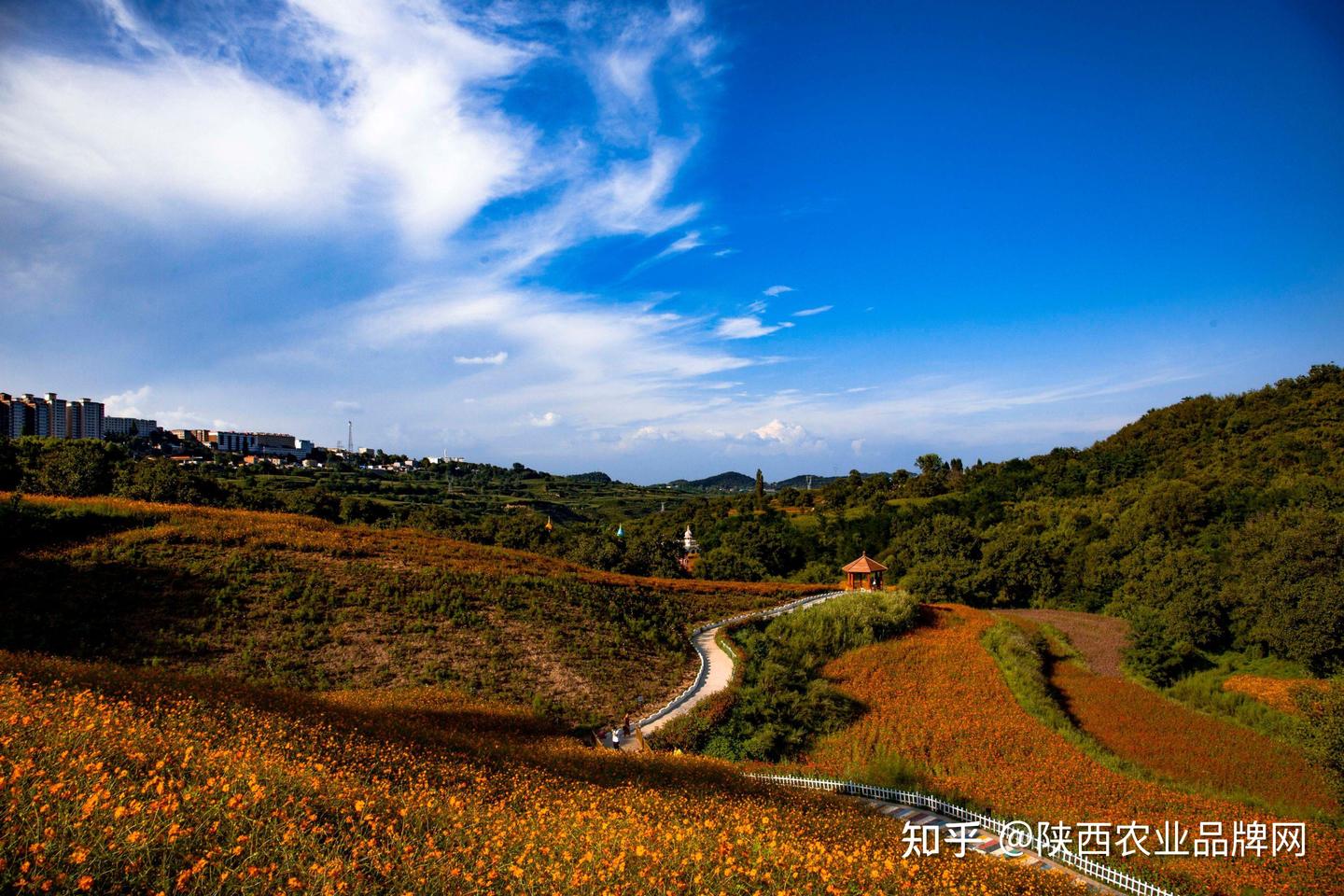 A scenic view of Tongchuan Yijun Grottoes Group