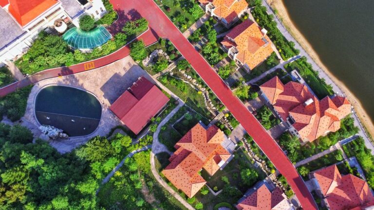 A Foodie’s Guide to Tonghua Baoquanyong Jiufang: Must-Try Dishes