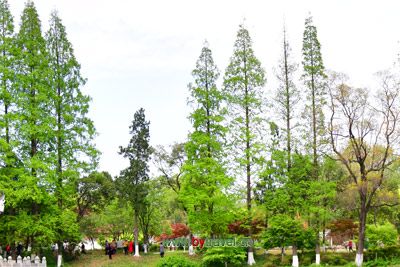 A scenic view of Tonghua Huifa Chengzhi