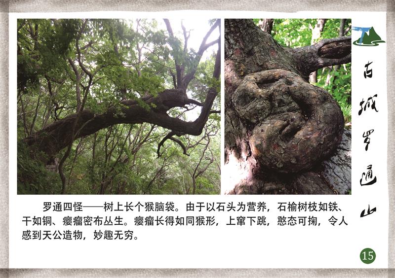 A scenic view of Tonghua Luotong Shancheng