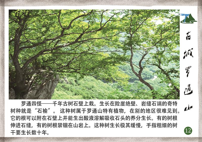 A scenic view of Tonghua Luotong Shancheng