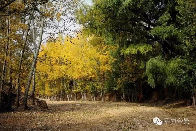 A scenic view of Tongliao Naimantuchengzichengzhi
