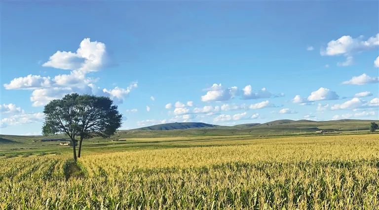 A scenic view of Ulanzab Shajingluzongguanfugucheng